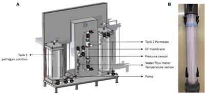 Evaluation of an ultrafiltration membrane for the removal of fish viruses and bacteria in aquaculture water